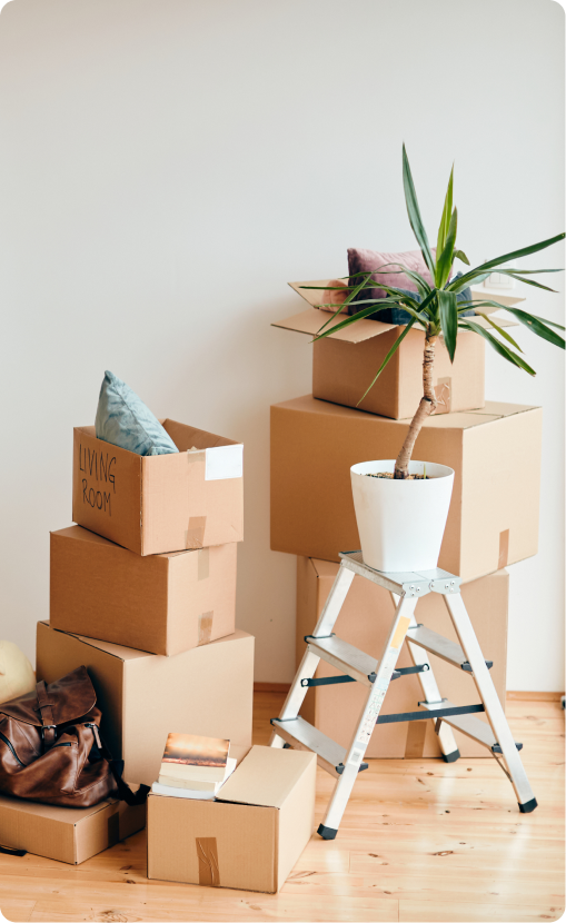 photo de plusieurs cartons empilés, avec une plante dans un pot, sur un trois marches