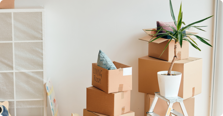 photo de plusieurs cartons empilés, avec une plante dans un pot, sur un trois marches